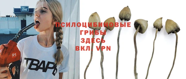 бошки Алзамай