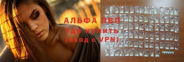 стафф Алексин