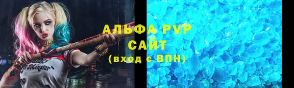 стафф Алексин