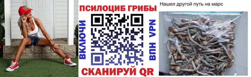 Галлюциногенные грибы MAGIC MUSHROOMS  Грязи 